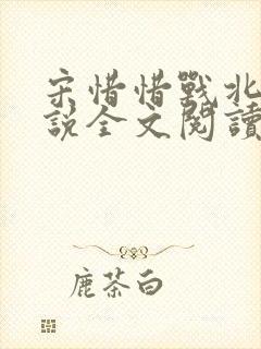 宋惜惜战北望小说全文阅读