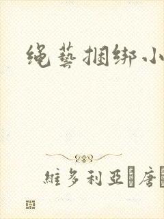 绳艺捆绑小说