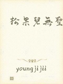松果儿无圣光封面
