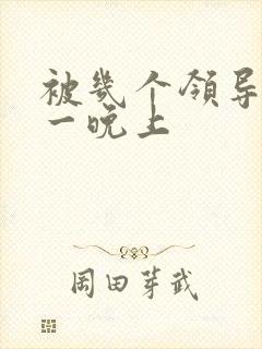 被几个领导玩弄一晚上