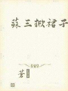 苏三掀裙子封面