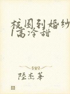 校园到婚纱1V1高冷甜封面
