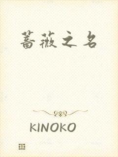 蔷薇之名封面