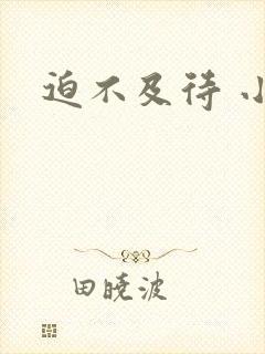 迫不及待 小穴