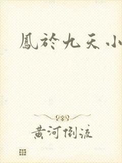 凤于九天小说
