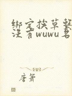 绑定挨草系统后没有wuwu名字