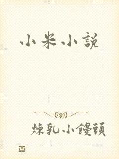 小米小说
