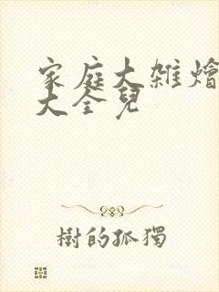 家庭大杂烩小说大全儿