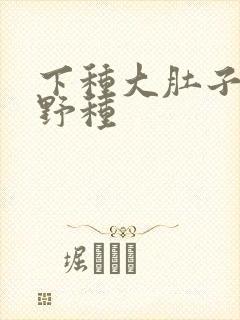 下种大肚子怀孕野种