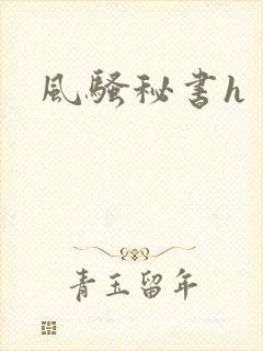 风骚秘书h