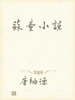 苏童小说