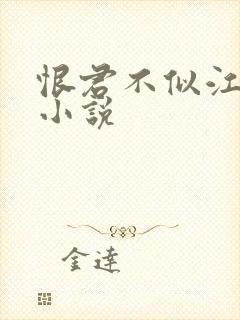 恨君不似江楼月小说