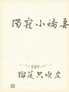 独宠小娇妻封面