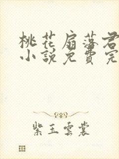 桃花扇落君不还小说免费完整版封面