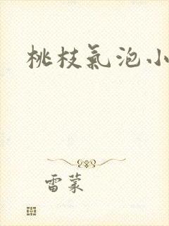 桃枝气泡小说封面