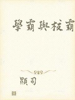 学霸与校霸