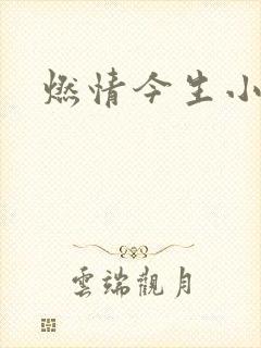 燃情今生小说