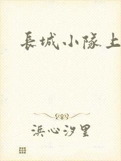 长城小队上中下