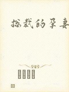 总裁的孕妻