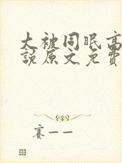大被同眠高粱小说原文免费阅读封面