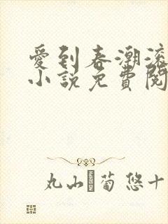 爱到春潮滚滚来小说免费阅读
