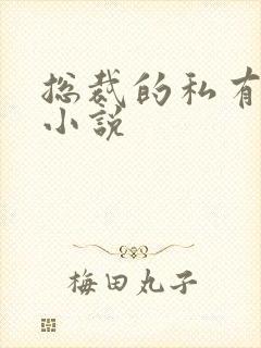 总裁的私有宝贝小说