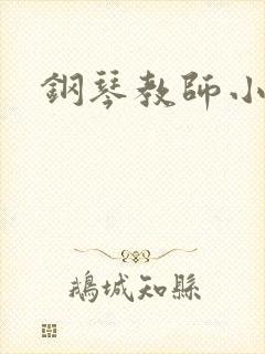 钢琴教师小说封面
