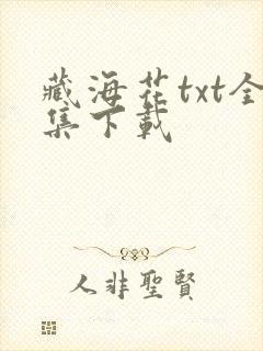 藏海花txt全集下载