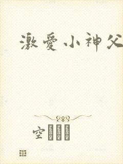 激爱小神父