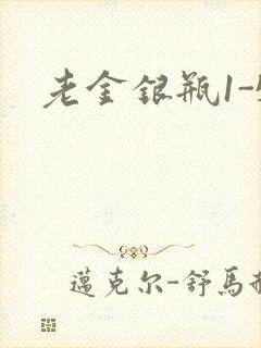 老金银瓶1-5