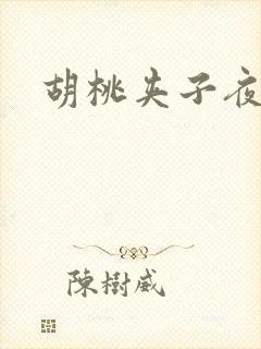胡桃夹子夜未眠