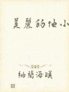美丽的他小说
