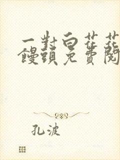 一对白花花的大馒头免费阅读