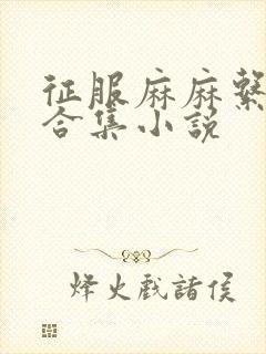 征服麻麻系列大合集小说