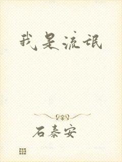 我是流氓封面