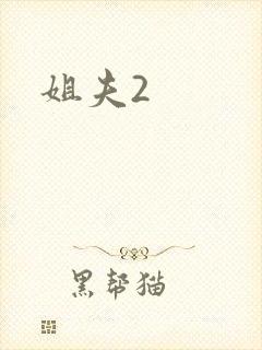 姐夫2