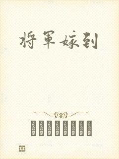 将军嫁到