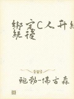 绑定C人升级系统后