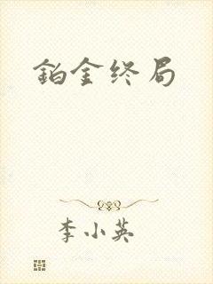 铂金终局