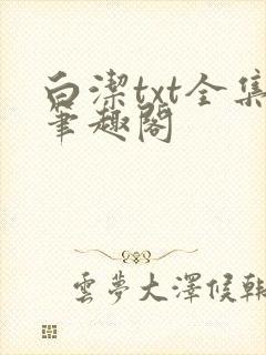白洁txt全集笔趣阁封面