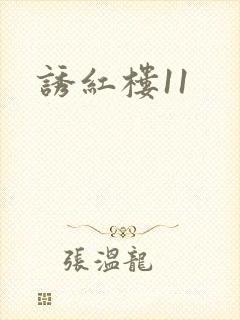 诱红楼11