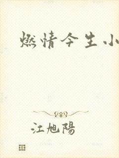 燃情今生小说