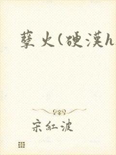 孽火(硬汉h)