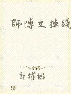 师傅又掉线了封面