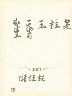 擎天玉柱是什么生肖