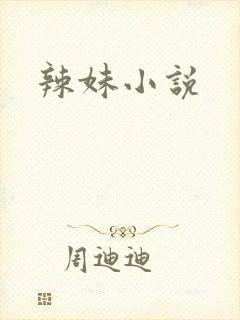 辣妹小说