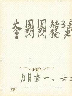 大团圆结3亲情会闪闪发光封面