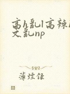 高h乱l高辣h文乱np