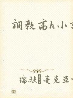调教高h小说