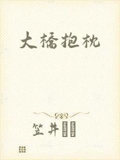 大桥抱枕